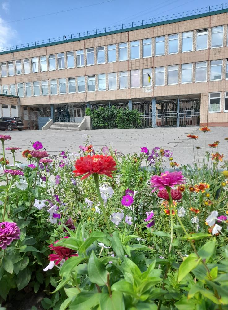 530277031 1972293196915412 2330796413630374410 n