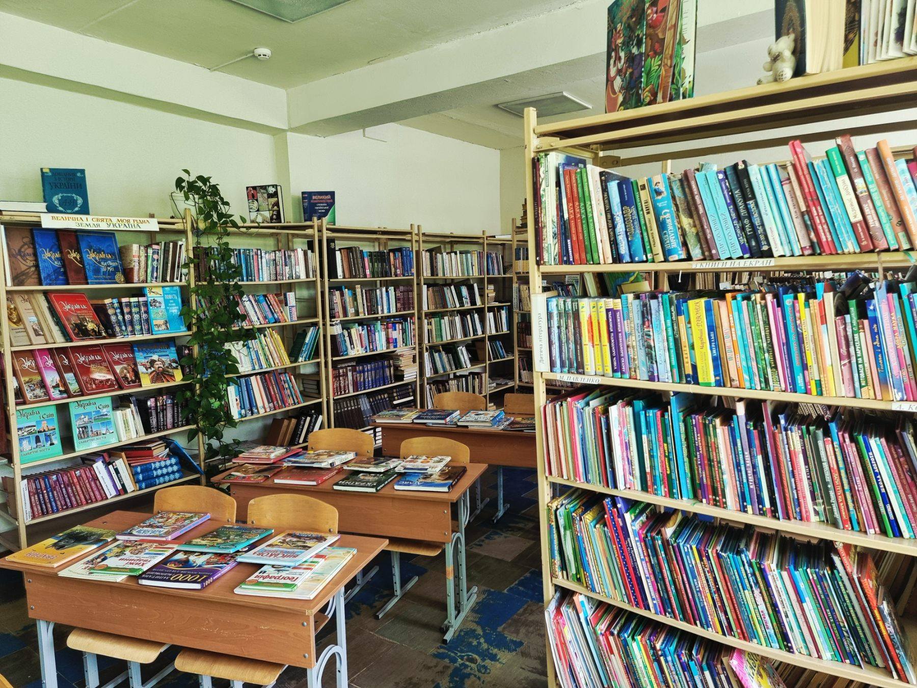 530999332 1972293723582026 6246250779272512895 n