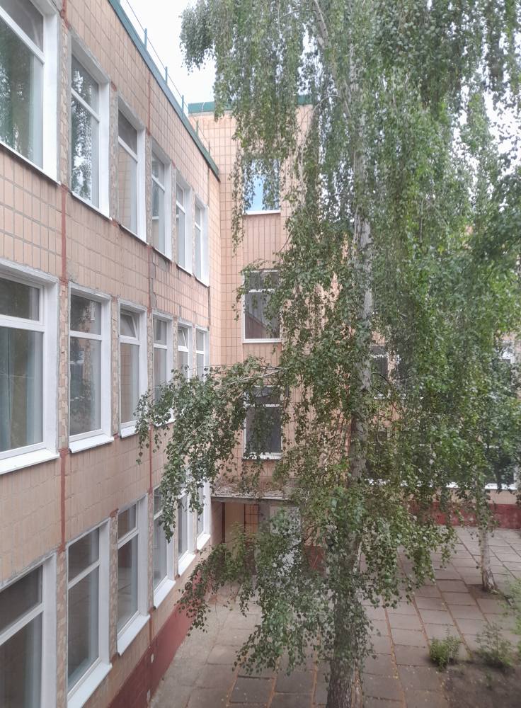 531501908 1972293240248741 6386533110992427580 n